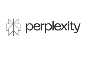 perplexity